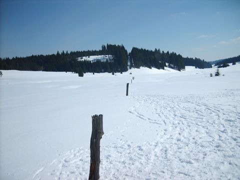 Foto 19